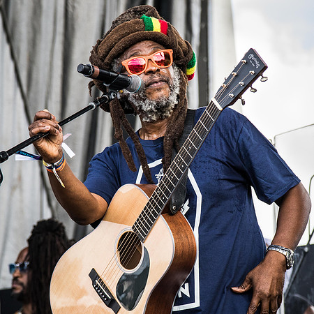 David Hinds, Steel Pulse